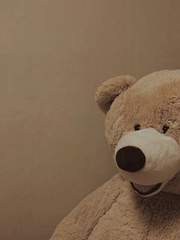 [ 고양이 길들이기 클럽 ]