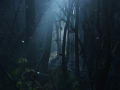 [고죠유지] bloody cat