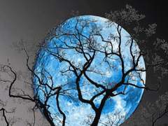 [시목동재] Sweet nightmare