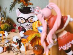 [원피스] 미호냥 / 사진 / 미호페로