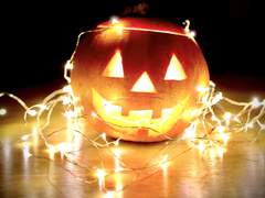 [장경고윤] 가정방문