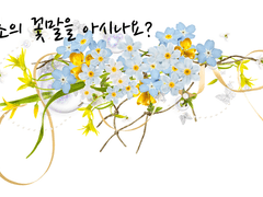 물망초의 꽃말을 아시나요?