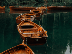 👭여성들의 등을 딛고