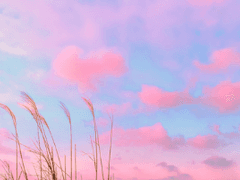 우리 다시 만날때는