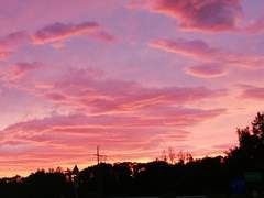 잃은 것이 돌아오는 날