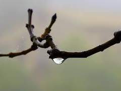 [묵연만녕] 잘 자요, 안녕