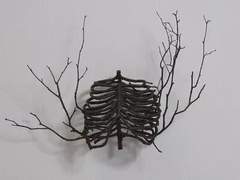 ✦ 落花에 관하여.