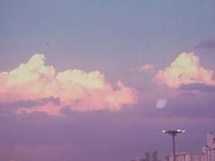 스러진 모든 ■■들에게.