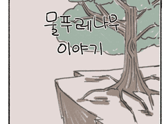 물푸레나무 이야기