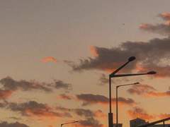 끝나가는 가을밤의