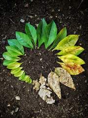 계절의 순환과 영속성