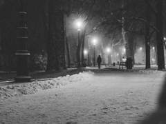 [원피스/드림] Choose, which is the dream?