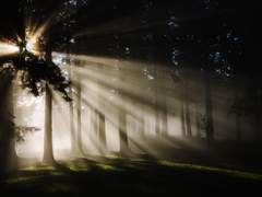 [백망되/알베케일] 루브리텔캄(Roopretelcham) (1)