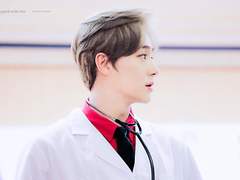 Bear, Puppy, Cat And Raccoon-(1)