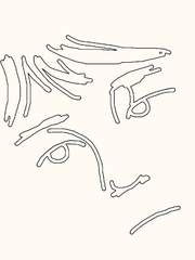 그냥 음악 한 번만 해보고 싶습니다