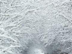 겨울, 이별과 끝