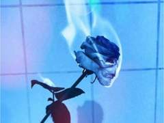 [츠키히나ts×아포칼립스Au] 살아남기