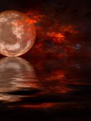 [내스급]유현유진