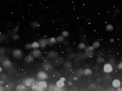 [르웰프레] 미명