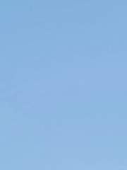 블루와 화이트의 크리스마스