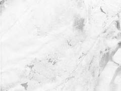 백호의신 | 당신의 낭만을 위해