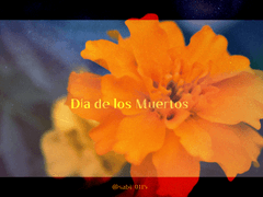 [알베케일] Día de los Muertos
