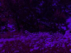 [In my mind]_나는 9월 3일을 바라고 있어.