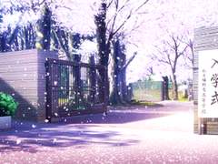 감정에도 언어가 있나요?