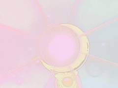 <처음, 2/3> 너의 기적은 어디서