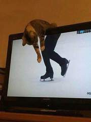 화요일엔 필라테스를