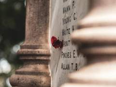 [멜로오네] Dearest, My Moon.