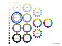 딘딘 퍼스널 컬러 분석