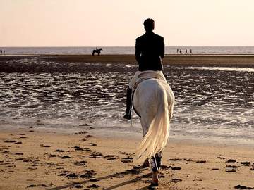 2021년 새해 복 많이 받으세요! + 이곤조영 AU 에피관련