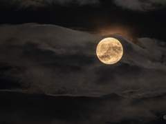 애달픈 나의 마음을 그대 안다면