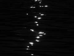 [몬랑자] 수면 위의 달