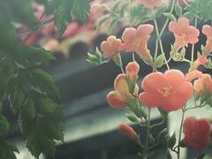 즐거움에 관하여