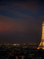 [장편] 레이디버그 장편글