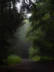 돌고 돌아 다시