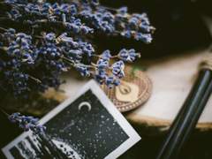 할로윈에는 -- --이 ---대요