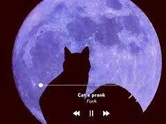 포라ForA 작곡 커미션