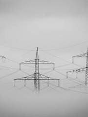 스타트라인(Start Line)