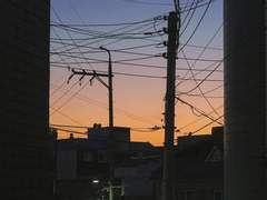 [중혁독자] 동틀 녘