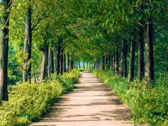 권력 남용의 낭만 9 (完)