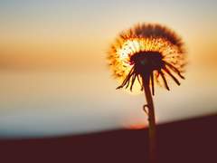 백망되_에르하벤_[__인간]