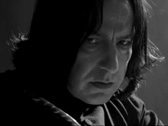 [스네해리]경계선-18