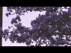 어느날부턴가 빈 흰 공간이 움푹들어가 있을 때