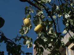 2020년 11월 5일 이즈음의 노래