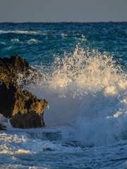 파도가 품은 소원은