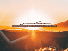 ☀ ...빛나네요. 반짝반짝.