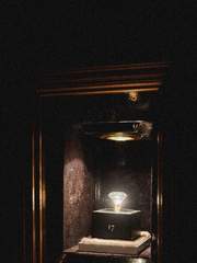 아름다운 것들은 빨리 지기 때문에 사랑하지 않기로 다짐했다.